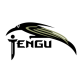 Палатки Tengu в Котласе Палатки Tengu в Котласе