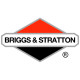 Двигатели Briggs-Stratton в Котласе